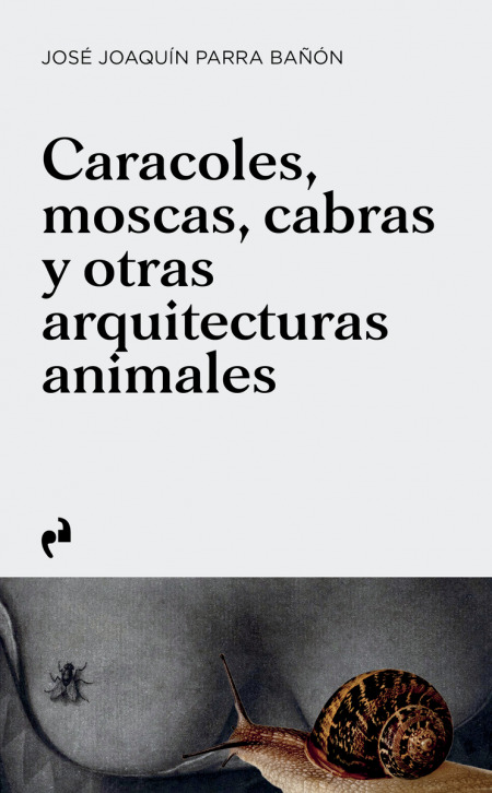 imagen no encontrada