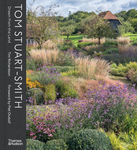 imagen no encontrada