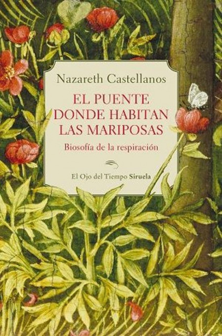 imagen no encontrada