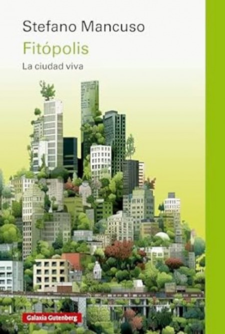 imagen no encontrada