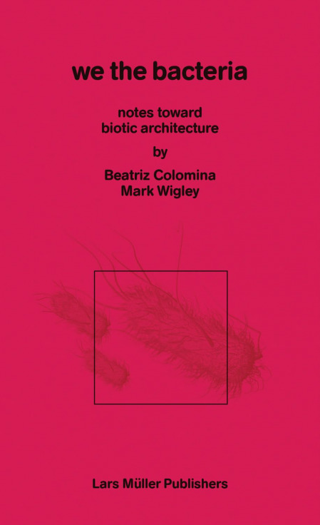 imagen no encontrada